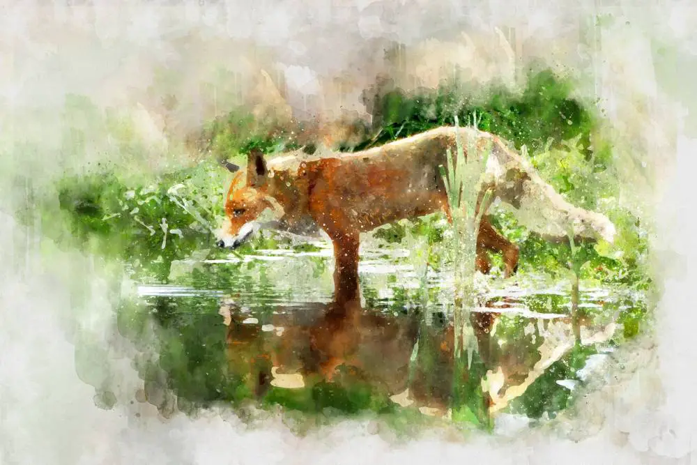  Ruby Fox and hidden treasure